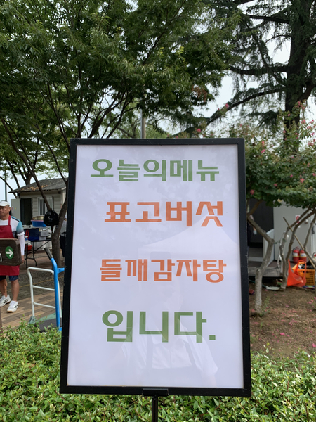 갤러리이미지
